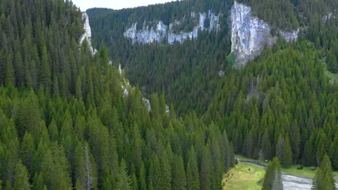 Mountain forest river valley with green meadow. Natural landscape in Altai 스톡 동영상 150561644