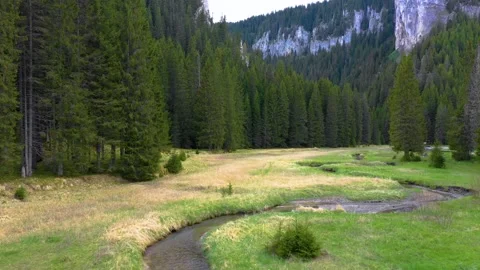 Mountain forest river valley with green meadow. Natural landscape in Altai Stock Footage 150561787