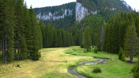 Mountain forest river valley with green meadow. Natural landscape in Altai Video stock 150561827