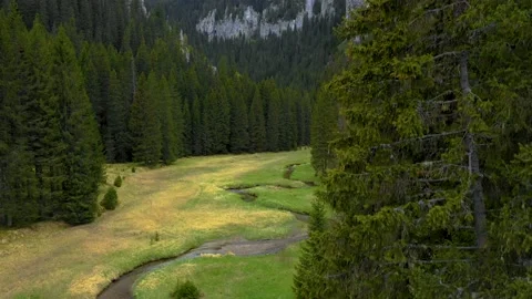 Mountain forest river valley with green meadow. Natural landscape in Altai Vídeo Stock 150561984