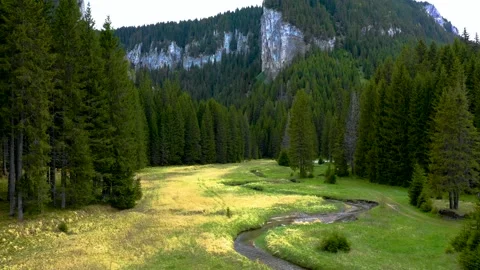 Mountain forest river valley with green meadow. Natural landscape in Altai Stock-Footage 150562199