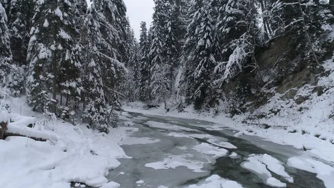 Mountain forest river in the winter in the Carpathians. Ukraine. Phantom 4 Pro 스톡 동영상 96497384