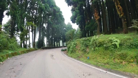 Mountain Forest Road With Smooth Curves in Darjeeling, India on 10th July 2025 Stock Footage 327291326