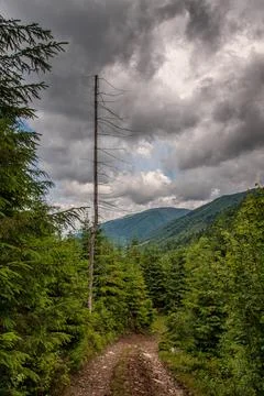 Mountain Forest Road Under Clouds. Vertical Stock Photos