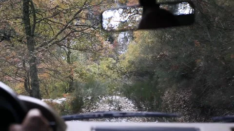 Mountain Forest road. view from the cab. SUV. Vehicle shot. Road block. Stock Footage 135719025
