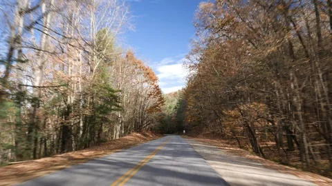 Mountain forest road. Windshield view. Stock Footage 121376559