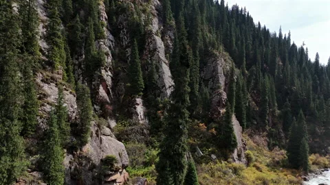 Mountain Forest with Rocks and Flowing Stream Stock Footage 324903174