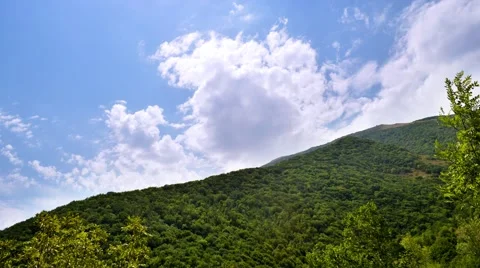 Mountain forest sky Stock Footage 40972315