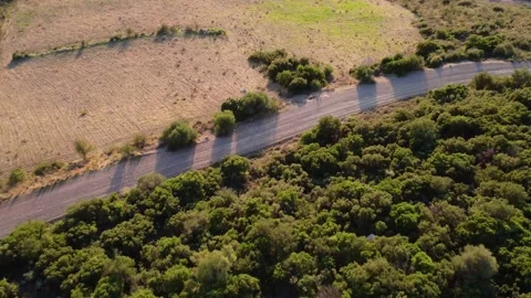 Mountain forest slope crossed by long rural dirt road and open farmland Stock Footage 344094901