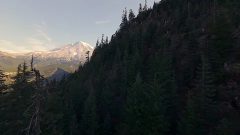Mountain Forest with Snow-Capped Mt. Rainier at Sunrise Stock Footage 294743095