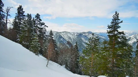 In a mountain forest with snow-covered trees Stock Footage 50765695