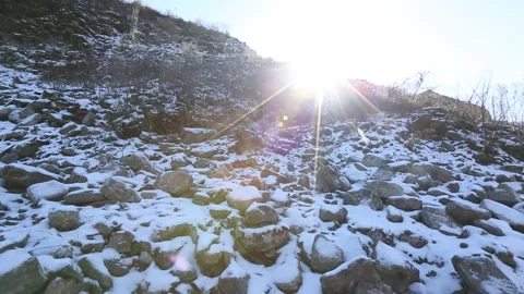  mountain forest in the snow with daylight Video stock 303551230