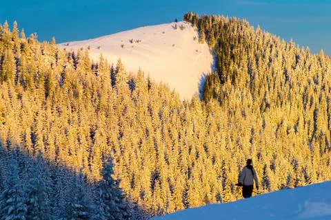 Mountain forest in snow Stock Photos