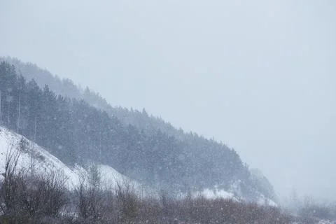 Mountain with forest in snowfall Stock Photos