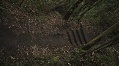 Mountain Forest Staircase and Path - Tilt up Pan left Stock Footage 145887084