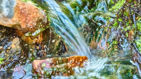 Mountain forest stream in beautiful area Stock Footage 106457048