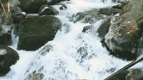 Mountain forest stream flowing between boulders covered with moss and ice Stock Footage 148283510