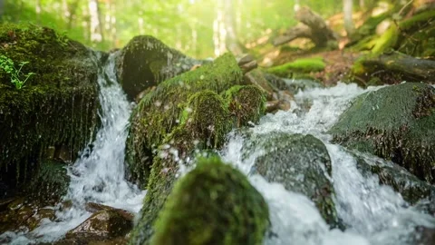 Mountain forest stream with purest water. Small waterfall with crystal clear Stock Footage 139614964
