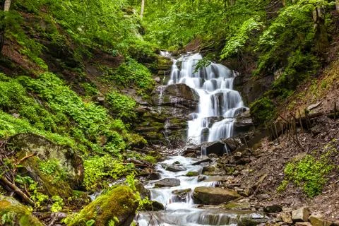 Mountain forest stream with a waterfall. Stock Photos