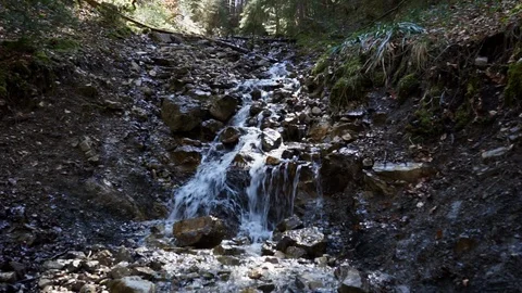 Mountain Forest stream. Zugspitze Eibsee Stock Footage 88797001
