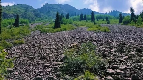 Mountain Forest In The Summer Stock Footage 287316258