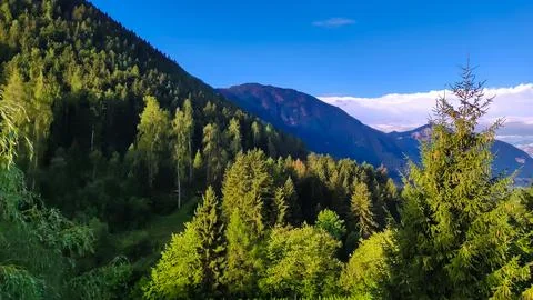 Mountain forest on a sunny and cloudy day Stock Photos
