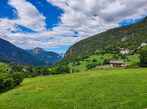 Mountain forest on a sunny and cloudy day Stock Photos