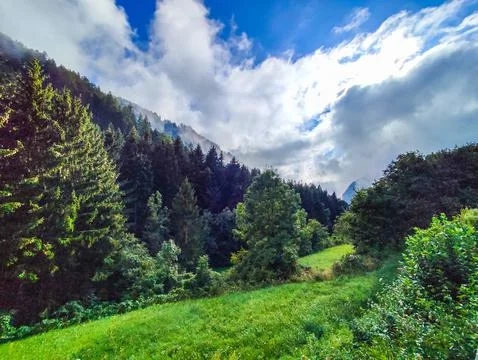 Mountain forest on a sunny and cloudy day Stock Photos