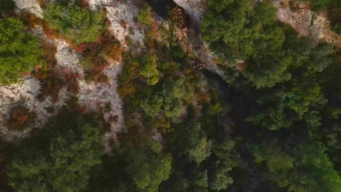 Mountain forest, top aerial view. The drone descends vertically down Stock Footage 167765581