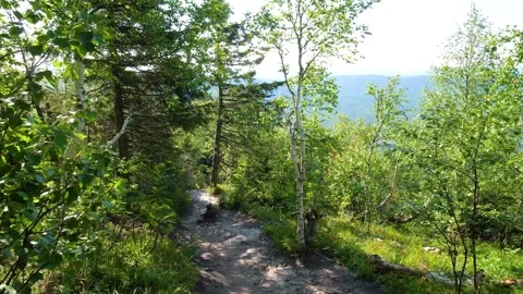 Mountain Forest Trail View in Southern Urals, Russia Stock Footage 325353997