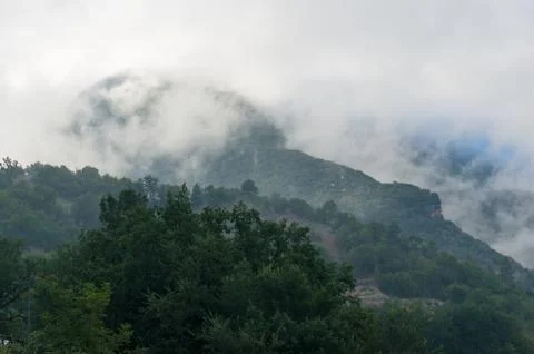 Mountain forest trees covered with thick fog, cloud Stock Photos