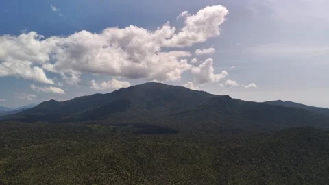 Mountain Forest Under Clouds in Palawan 動画素材 335647369