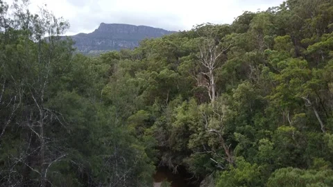 Mountain in forest valley Video stock 239429865