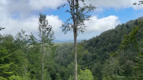 Mountain Forest Valley View with Passing Clouds in Kartepe, Turkey Stock Footage 341818989