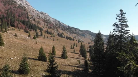 Mountain Forest Velebit 02 Stockbeeldmateriaal 272622703