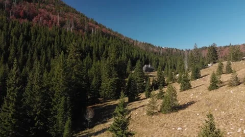 Mountain Forest Velebit 03 Stockbeeldmateriaal 272622649