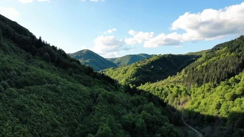 Mountain forest vertical fly Stock Footage 108097628