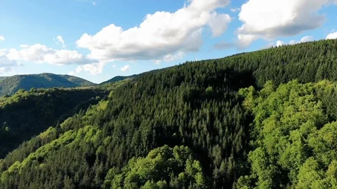 Mountain forest vertical fly over woods Stock Footage 108097611