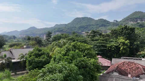 Mountain Forest View Stock Footage 262233194