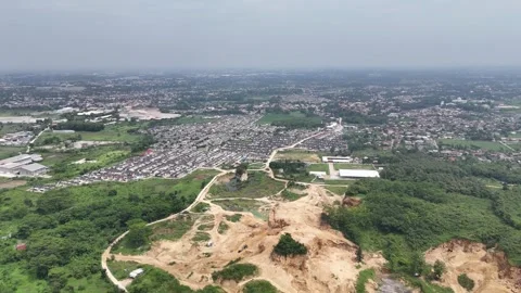 Mountain Forest View Stock Footage 262233890