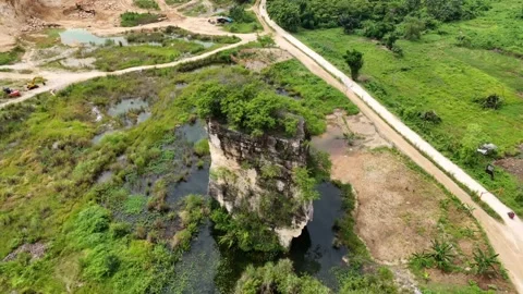 Mountain Forest View Stock Footage 262234091