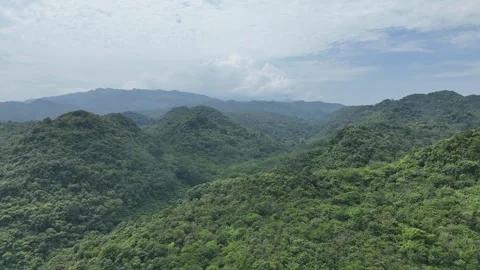 Mountain Forest View Stock Footage 262234757