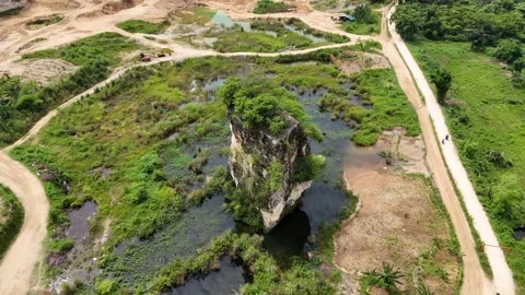 Mountain Forest View Stock Footage 262234956