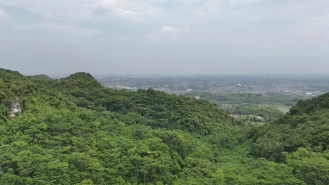 Mountain Forest View Stock Footage 262234989