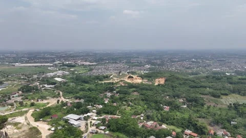 Mountain Forest View Stock Footage 262235320