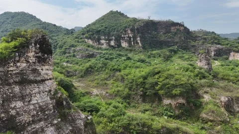 Mountain Forest View Stock Footage 262235829