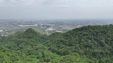 Mountain Forest View Stock Footage 262236136