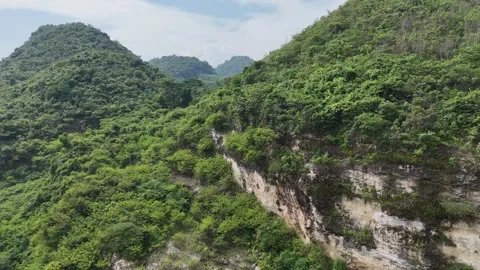 Mountain Forest View Stock Footage 262236653