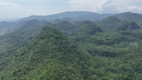 Mountain Forest View Stock Footage 262237572