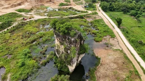 Mountain Forest View Stock Footage 262240789